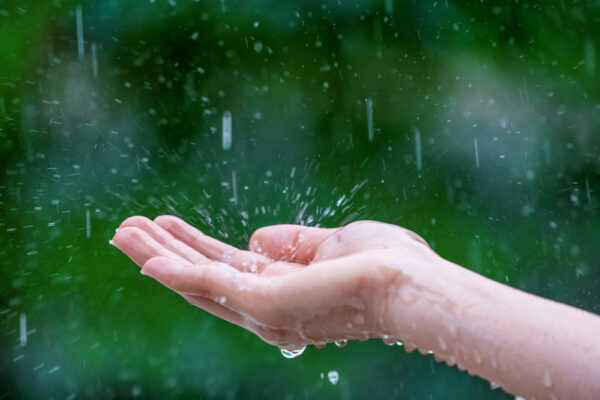 [Thu hoạch & lưu trữ nước mưa] Bài 2 Nước mưa có an toàn không